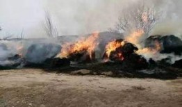 陆川最新火灾爆料,揭秘火灾背后惊人真相