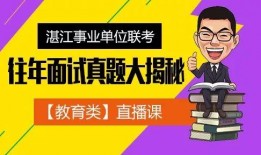 湛江今日大爆料,热点事件盘点与深度解读