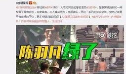老岳微博爆料视频下载,下载背后的故事与真相